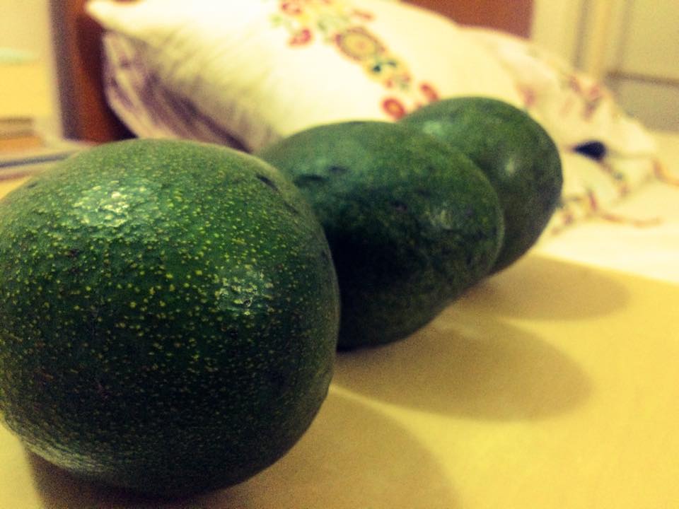 avocagro
