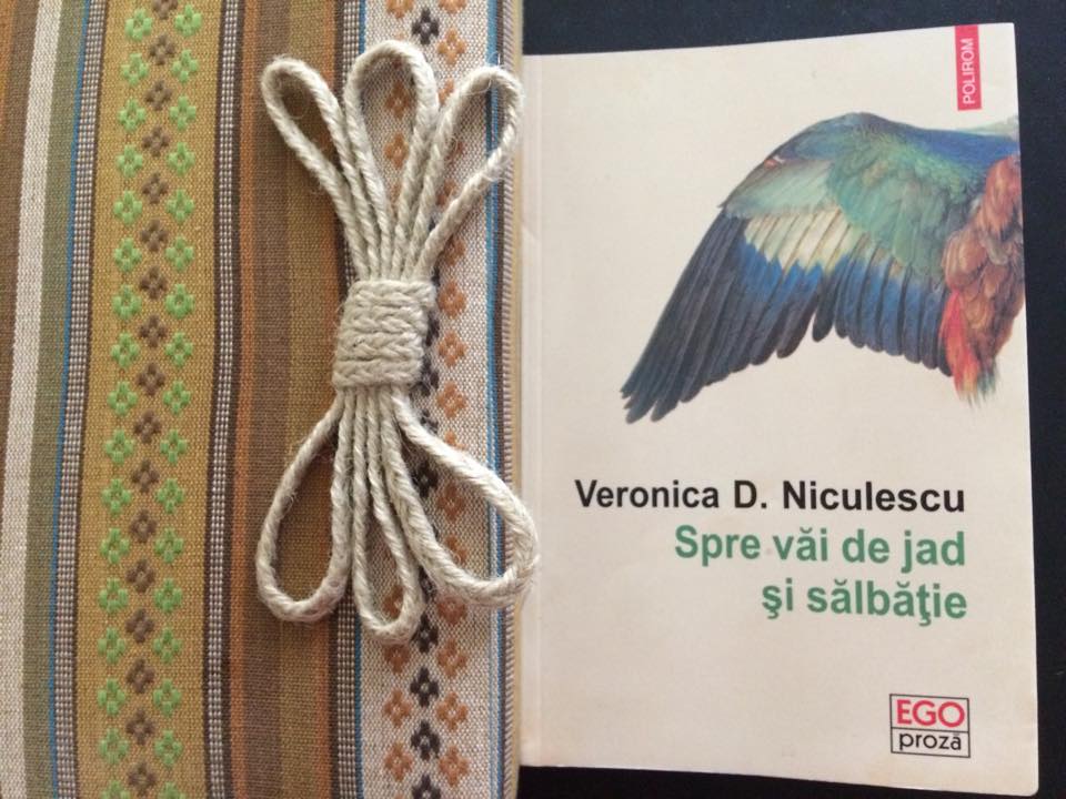 veronica d niculescu